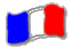 fran&ccedil;ais